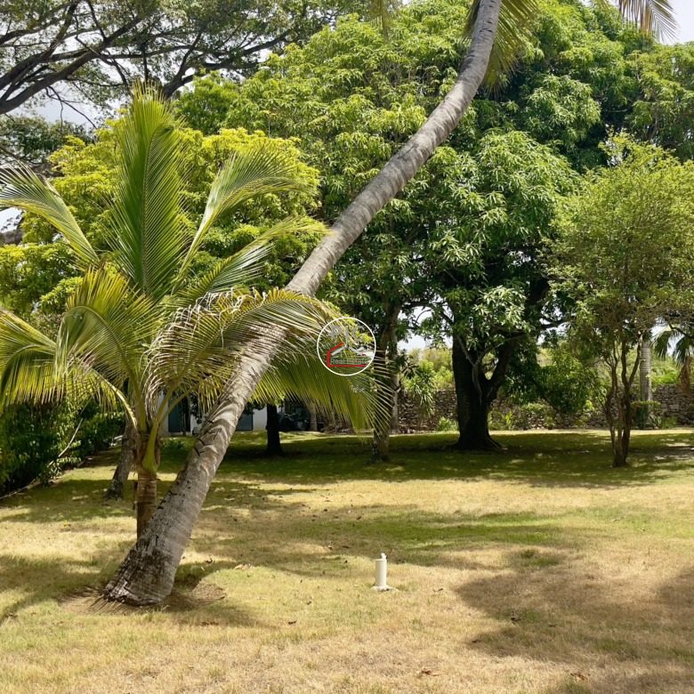 A Rare Oceanfront Opportunity — 5,400 m² of Land in Two Lots – EXCEPTIONAL COLONIAL-STYLE OCEANFRONT ESTATE — Playa Chiquita, Sosúa
